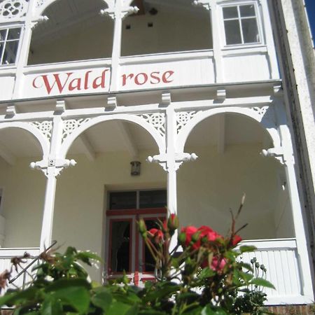 Pension Waldrose Зеллин Экстерьер фото